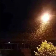 白蟻危害大，4-6月份進入其活躍期 防治白蟻不容忽視！